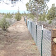 Good example of All Aspects Fencing T Post fence