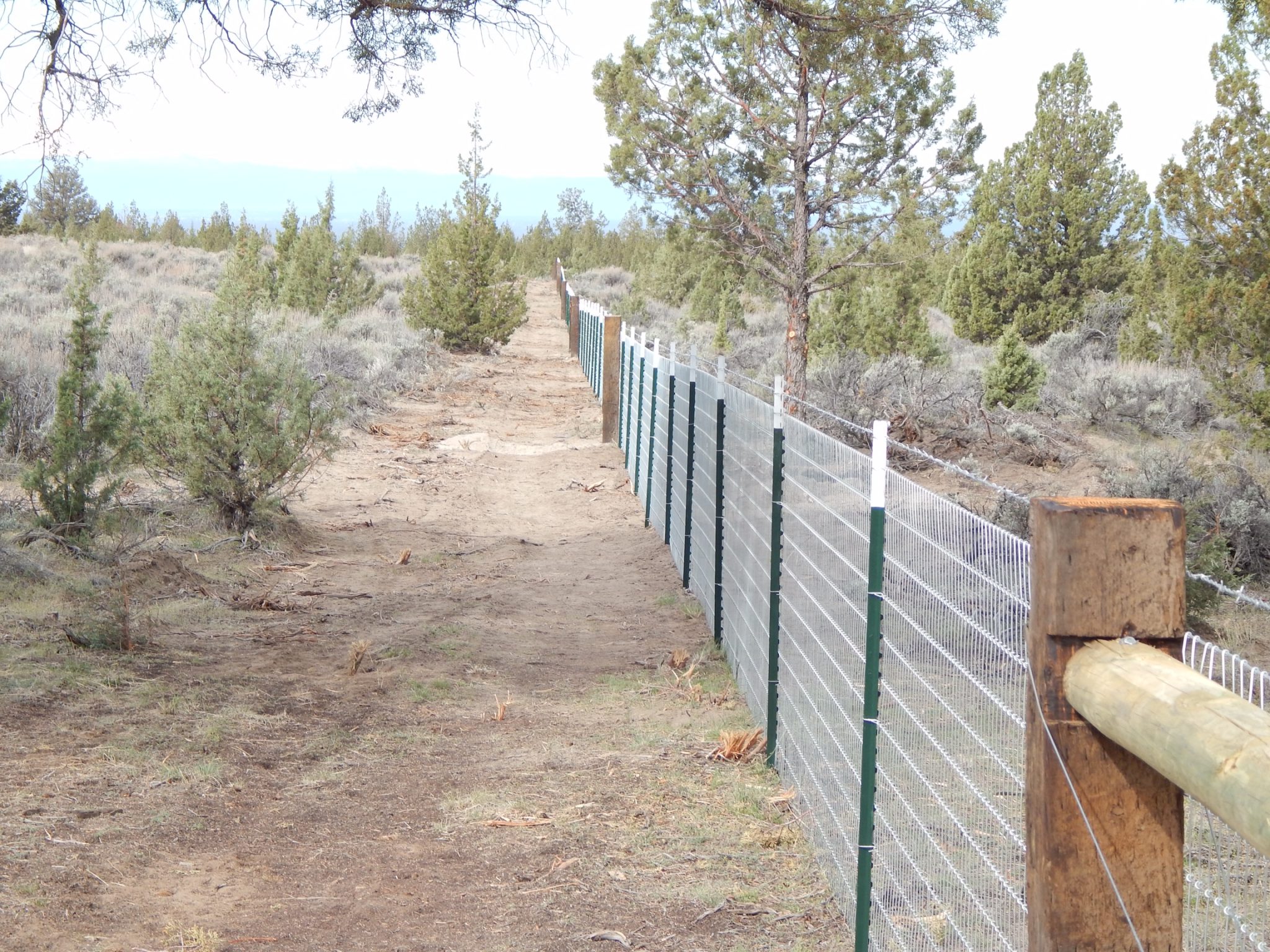 Support wire on your T Post fence. (Good Fence/Bad Fence)