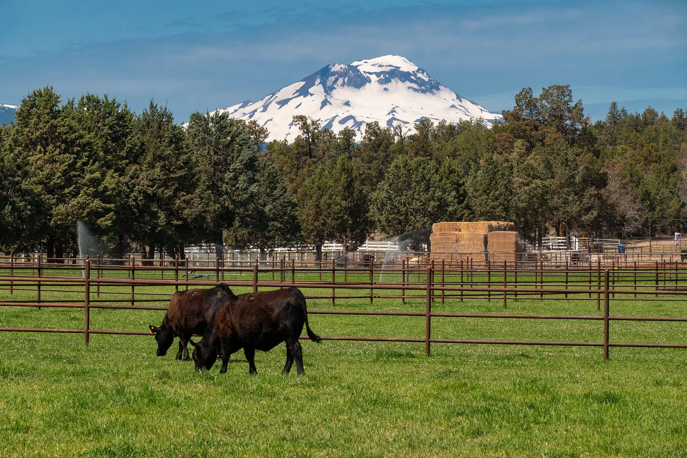 Ranch fencing project
