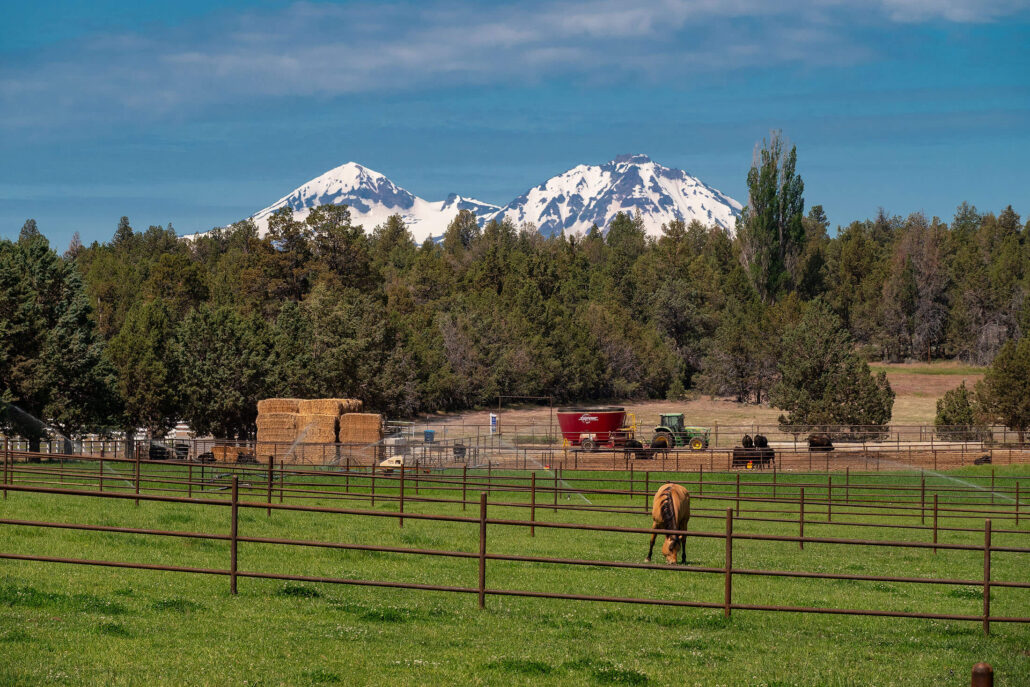 livestock fencing central oregon